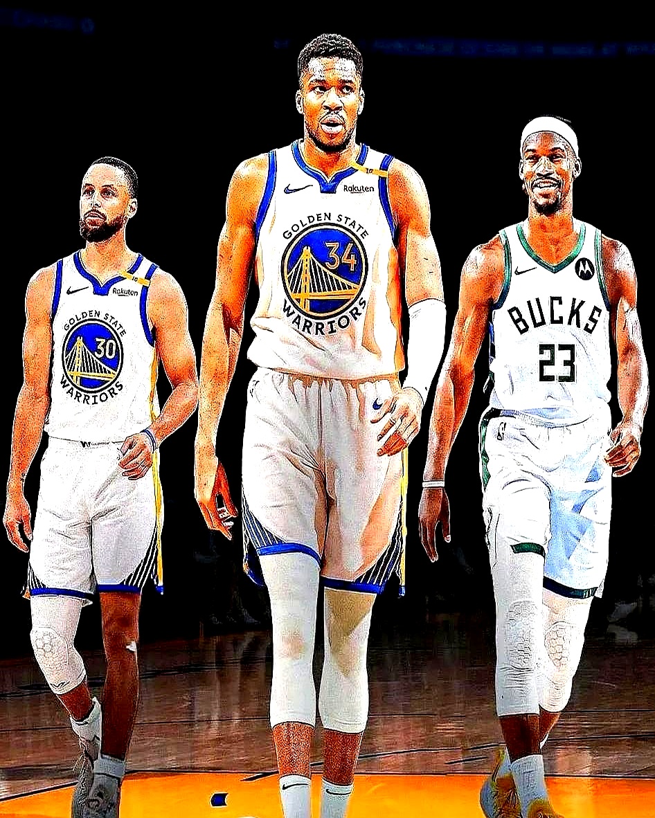 浙江队副总：除米特里策外，其他外援的去留都需再三权衡（浙江队副总：米特里策铁定留队，其余外援去留仍需慎重考量）